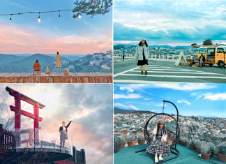 Du lịch Đà Lạt khám phá những cánh rừng thông đại ngàn, những vườn hoa Đà Lạt…